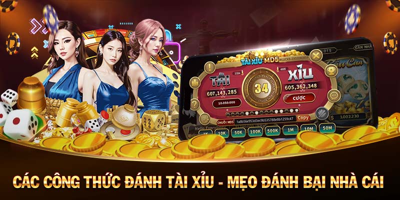 69vn-Sống động và hấp dẫn: Casino trực tuyến! 69vn-Sống động và hấp dẫn: Casino trực tuyến!